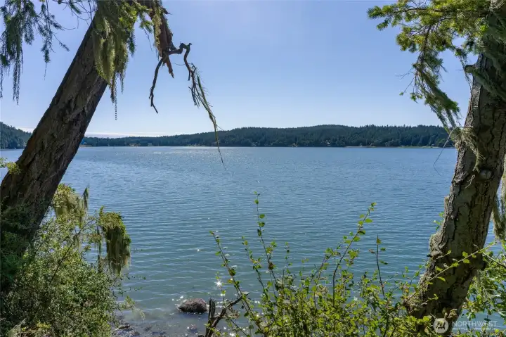 Mud Bay at your toes. Mud Bay at your toes.