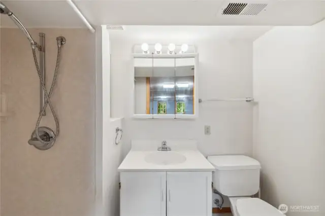 Lower level bath.