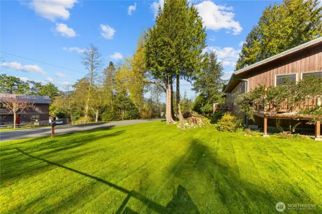 Side yard on West Shore Road.