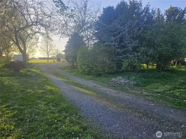 Driveway to House #1