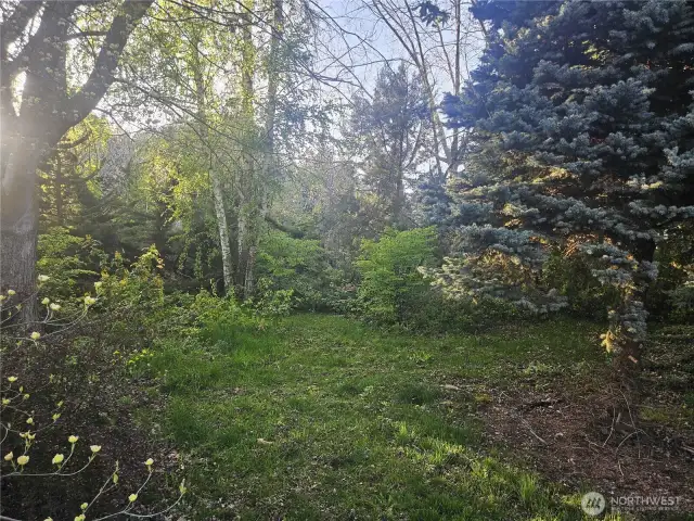 Part of Arboretum