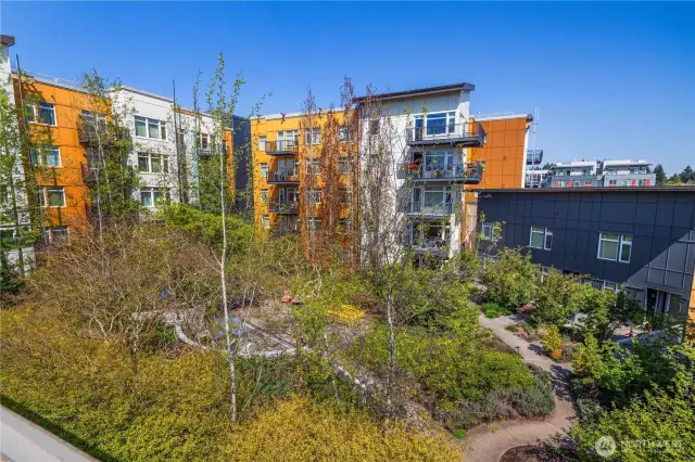 Commuinity Courtyard