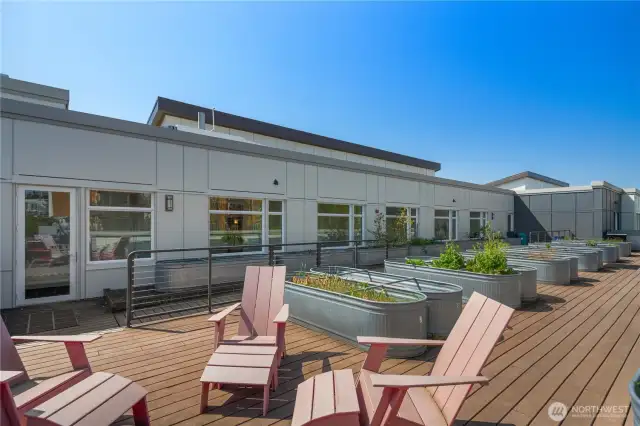 Community Pea Patch and Lounge