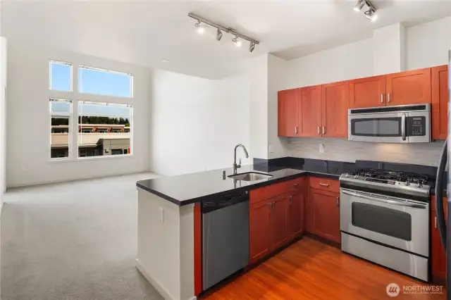 Open Concept Living Room and Kitchen