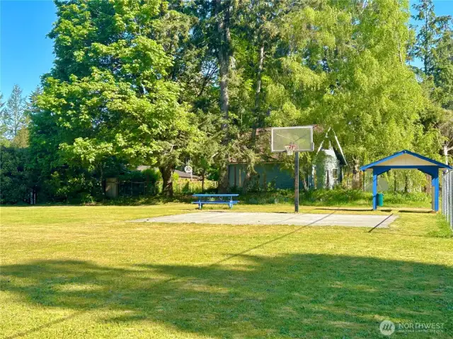 Have a picnic and play basketball at the same time