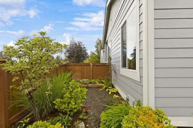 Fully fenced backyard with low maintenance.