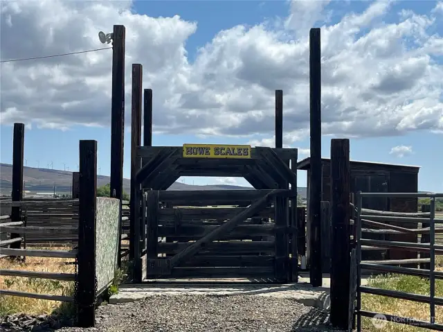 Certified Livestock Scale