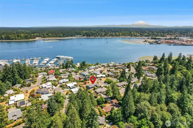 Views of Budd Inlet, City, Harbor and Mt Rainier