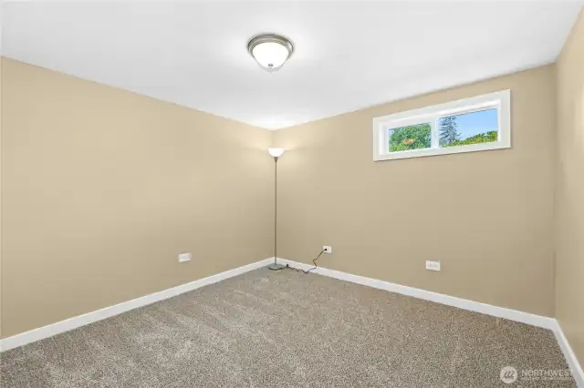 Bedroom #4 - lower level