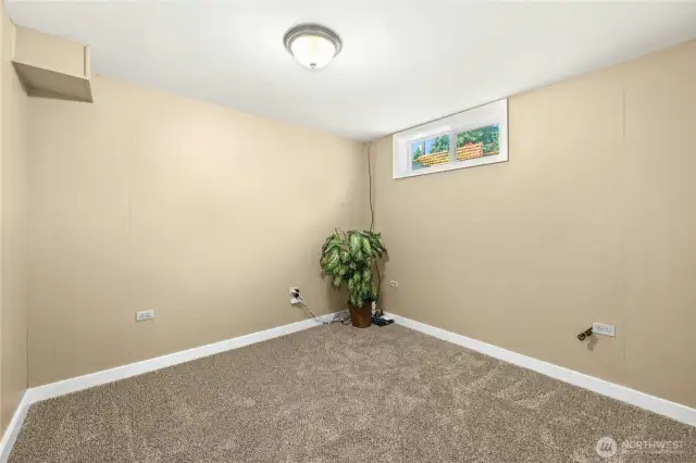Bedroom #5 - lower level
