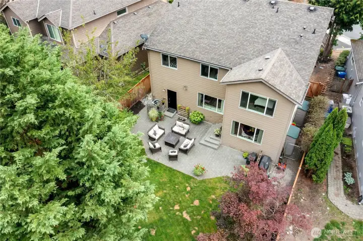 Back yard