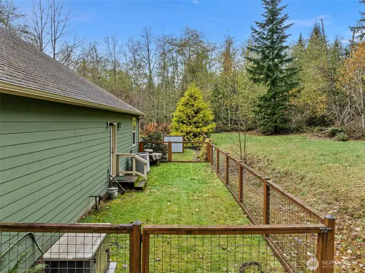 Dog Yard! and Generator