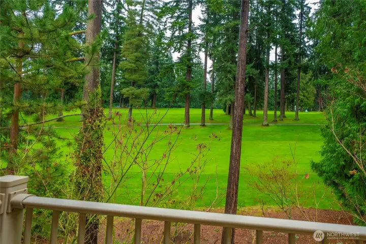 Golf Course Views
