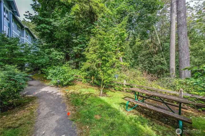 Community pathway and sitting area.