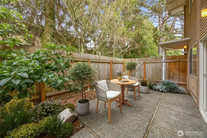 Fully fenced patio (virtually staged)