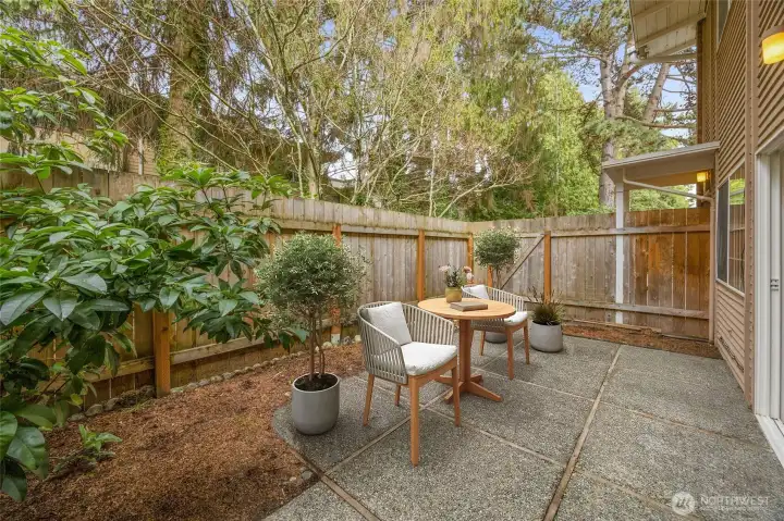 Fully fenced patio (virtually staged)
