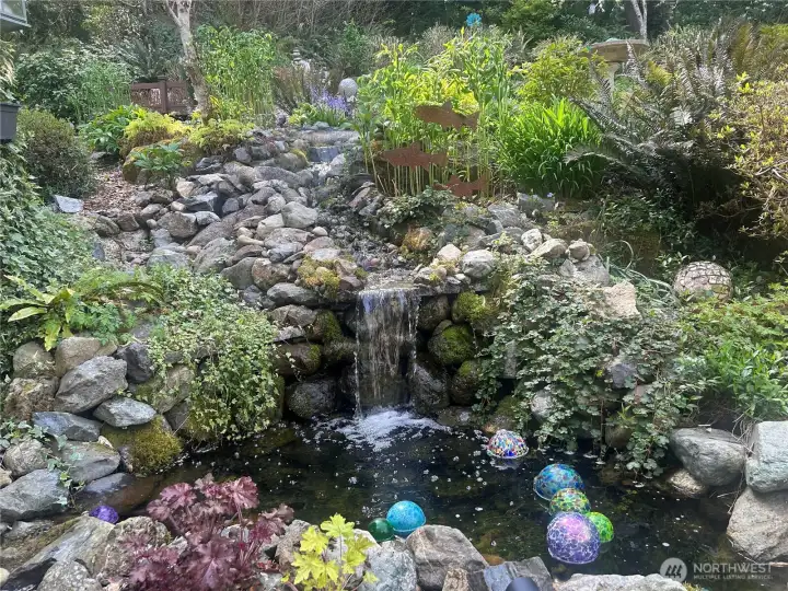 patio pond next to gazebo