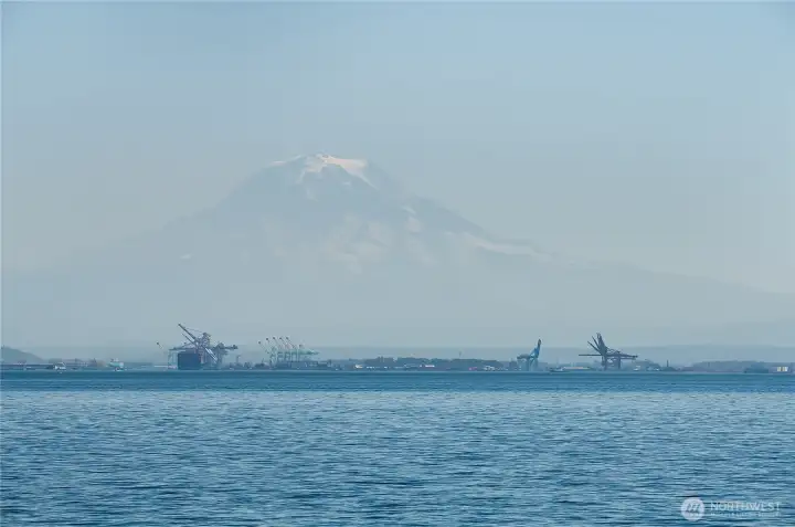 Spectacular views of Mt Rainier