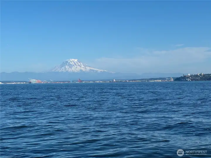 Spectacular views of Mt Rainier