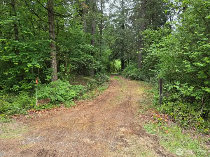 Driveway to shop Driveway to shop