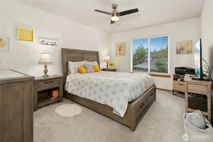 Ceiling fan and light drenching window, too