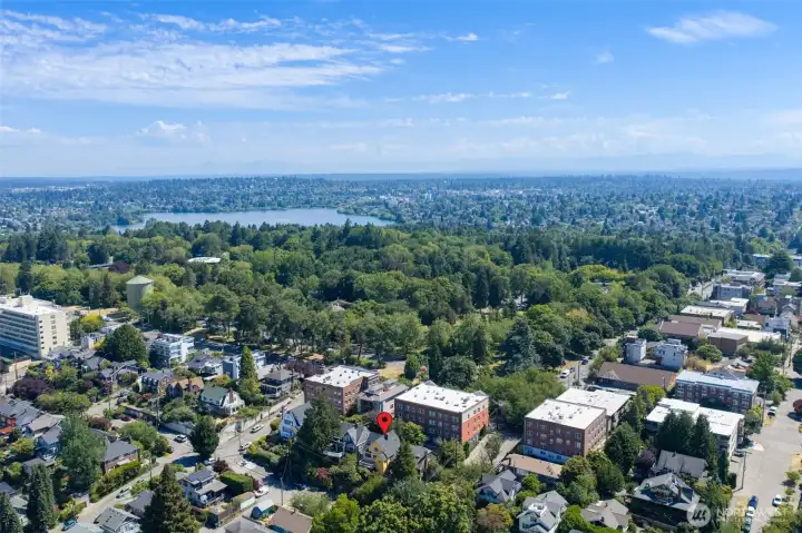 Location location location... A block from Woodlawn Park Zoo, and so close to Green lake, Wallingford, Phinney Ridge, Greenwood, Ballard, University District and Fremont. This is the bestest!