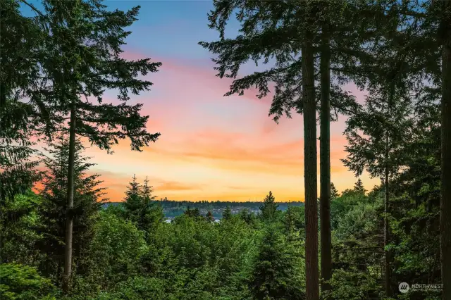 This unique and incredible property adjoins 600+ acres of protected forests, trails, and waterfront parks, is incredibly private and quiet, yet is just a short drive to historic Inglewood Golf Club, vibrant Juanita Village, and eclectic downtown Kirkland.