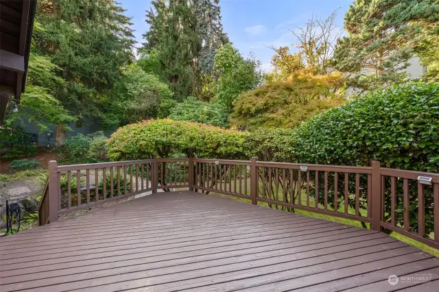 Backyard entertaining deck