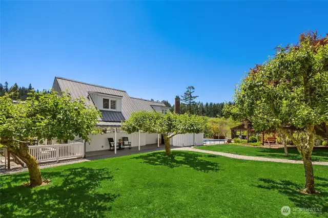 Main walkway to the house . . .