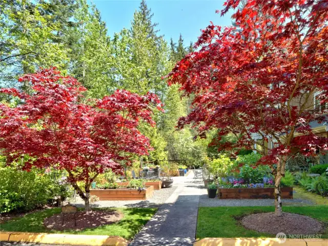 Sundance  Glen Garden