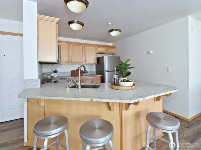 iKitchen with granite countertops & stainless steel appliances