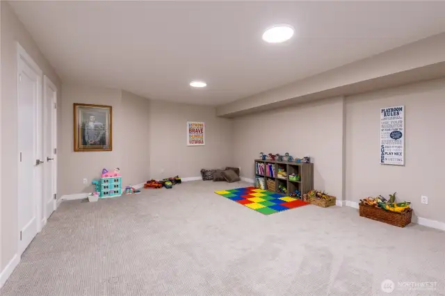 Large bonus room downstairs has huge pantry/storage closets