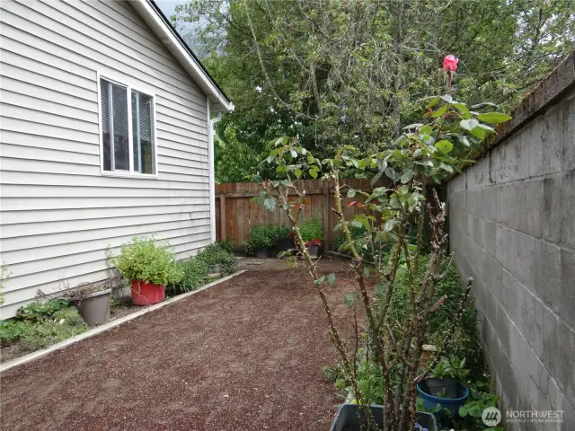Backyard, new grass is planted