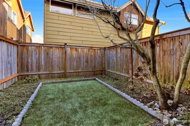 Fenced Yard off of lower bedroom