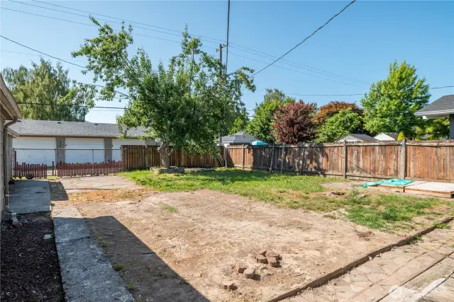 Back Yard