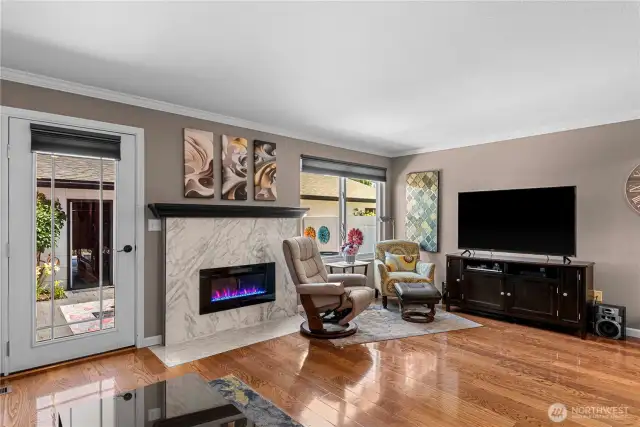 Electric Fireplace