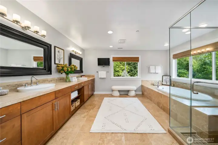 Luxurious master bathrooms