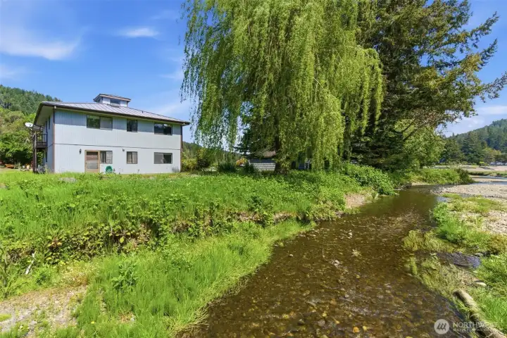 Looking down the creek towards the back yard.