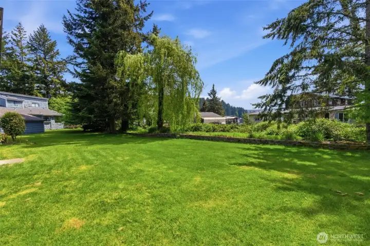 Nice green lawn