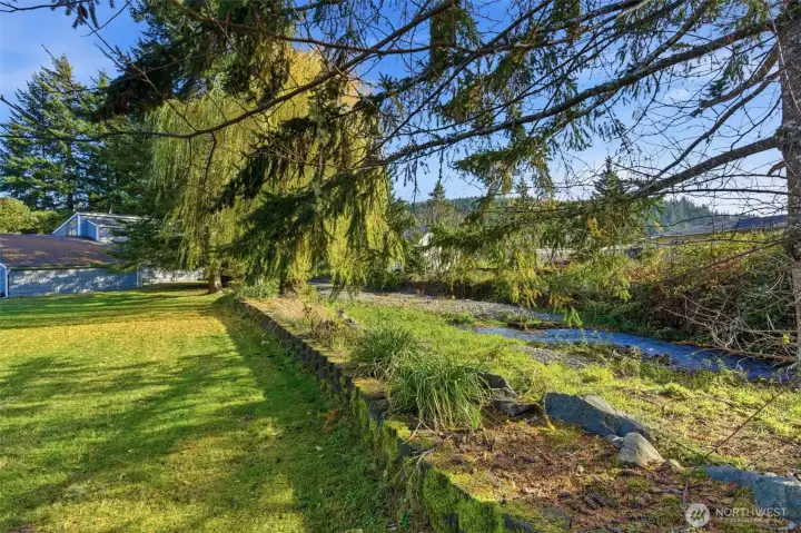 Back yard and creek