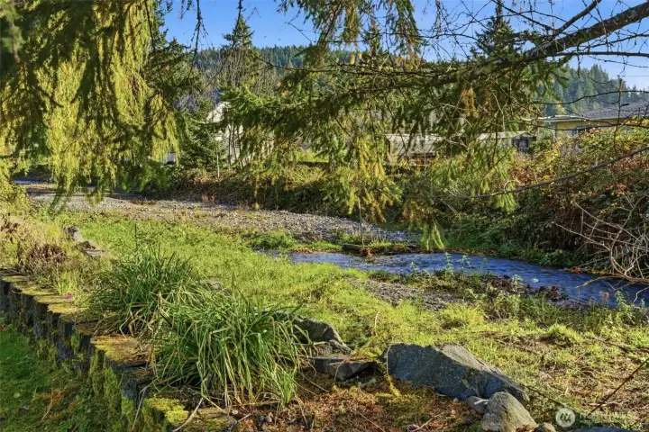 Salmon are spawning in this creek
