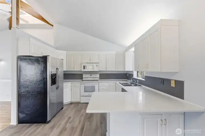 Stainless appliances