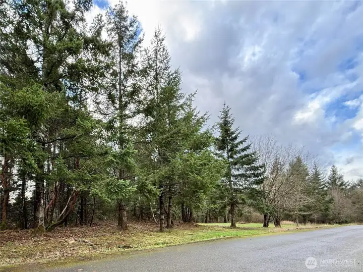114 Skyview Rd, Woodland Corner 5 acre lot, boarders Aviator