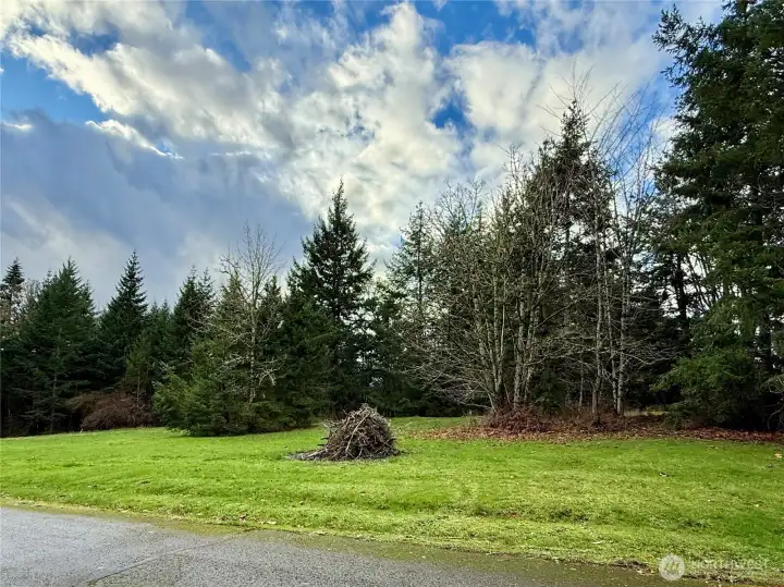 Enjoy Woodland Washington at 114 Skyview Rd, a 5 acre corner parcel with power on site.