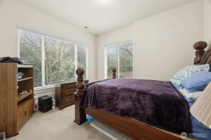 Bedroom 4 on lower level.