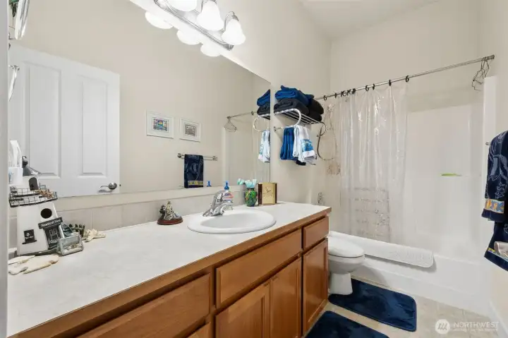 Lower level bathroom.