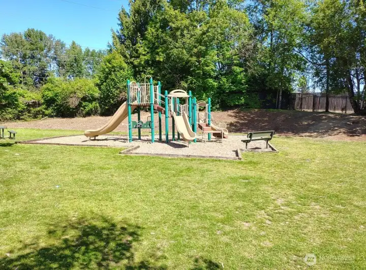 playground playground