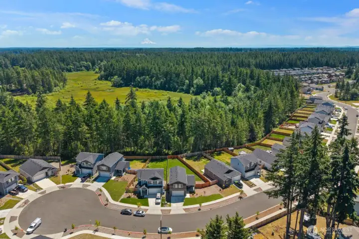 Aerial view of the surrounding neighborhood with adjacent green space and distant mountain views.