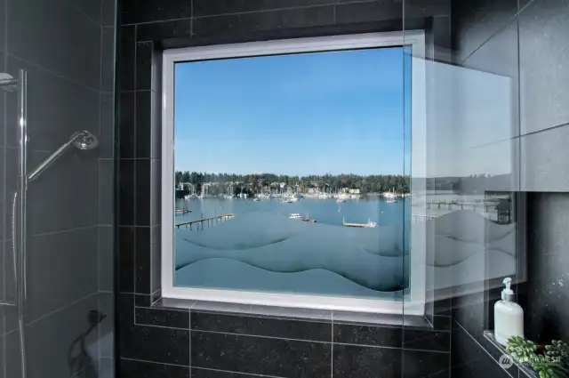Incredible view of Eagle Harbor from lower-level shower!