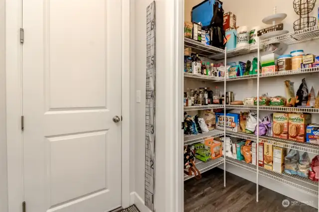 Convenient walk-in pantry if right off garage and there is a second pantry closet too!